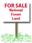 For Sale Sign