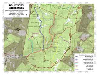 Dolly Sods Wilderness Overview