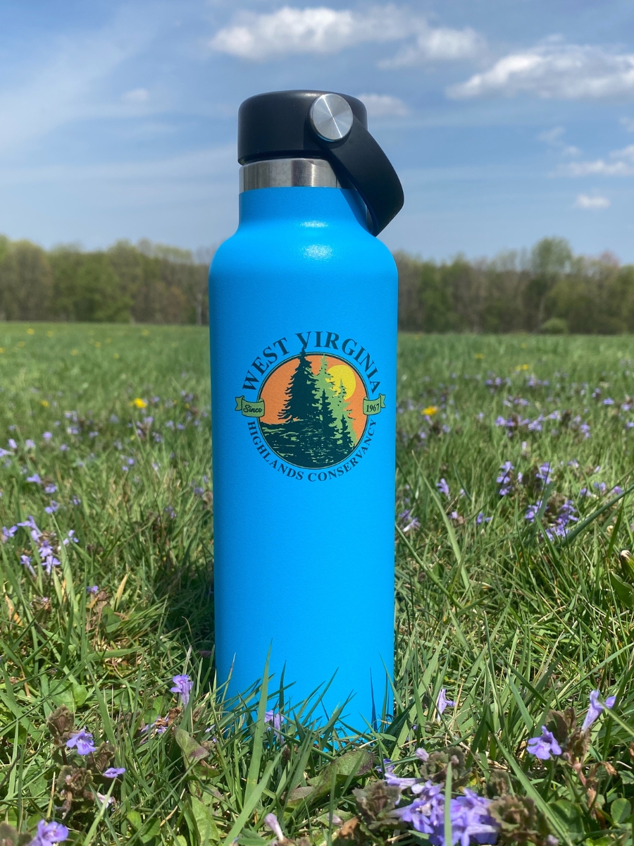 Hydro Flask 18 oz Standard Mouth Bottle Pacific