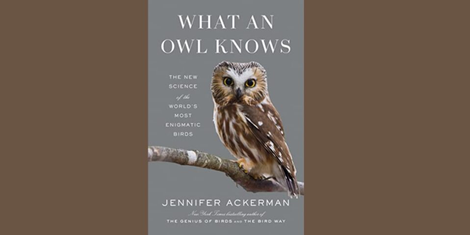 Book Review What An Owl Knows By Jennifer Ackerman West Virginia Highlands Conservancy