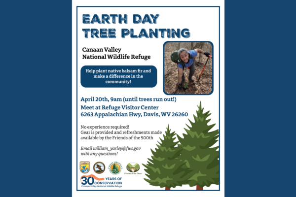 Earth Day Tree Planting Canaan Valley National Wildlife Refuge This Earth Day weekend, help plant native balsam fir trees and make a difference in the community! The event will start at the Visitor Center at 9am.