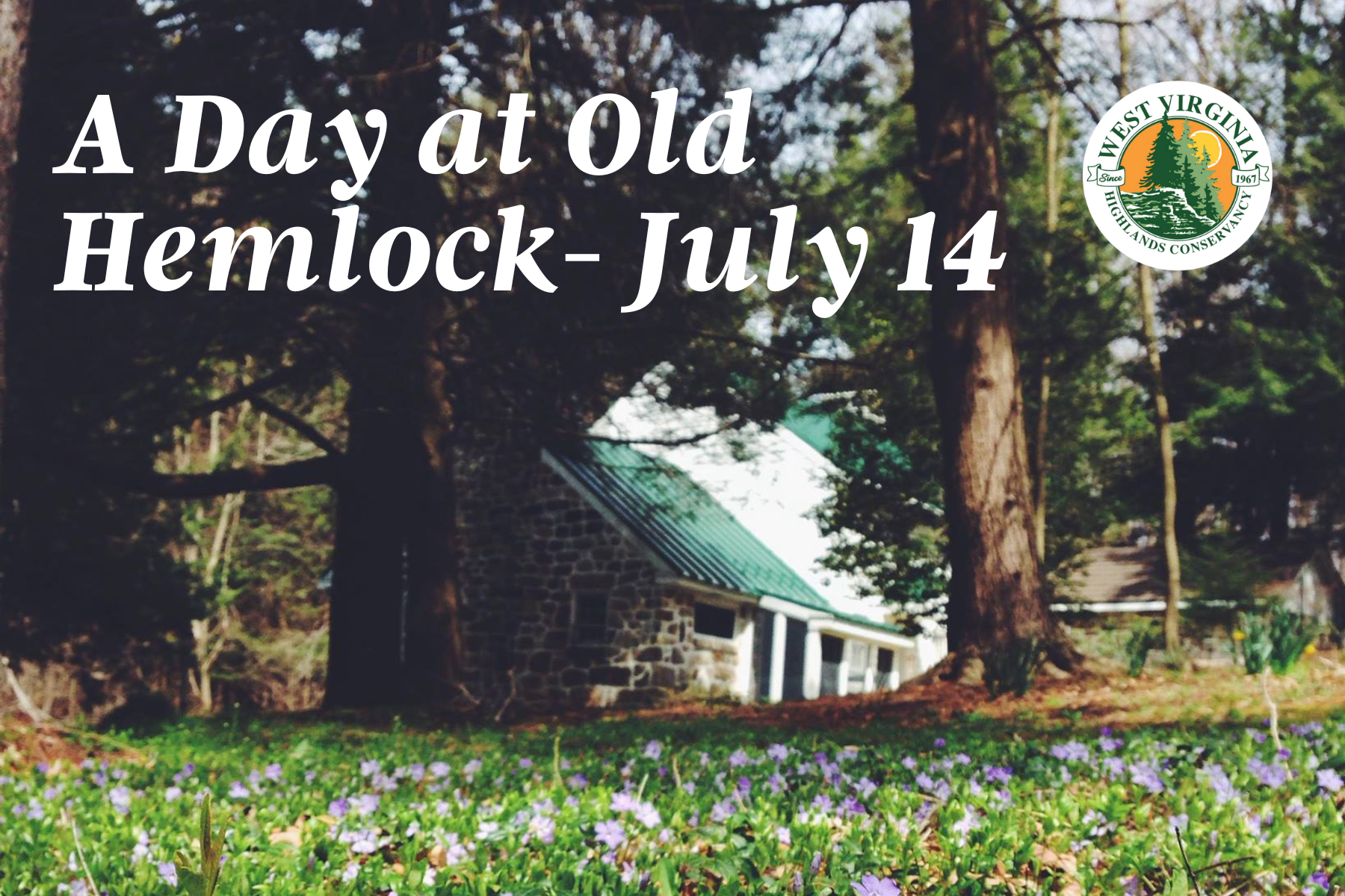 A Day at Old Hemlock: July 14