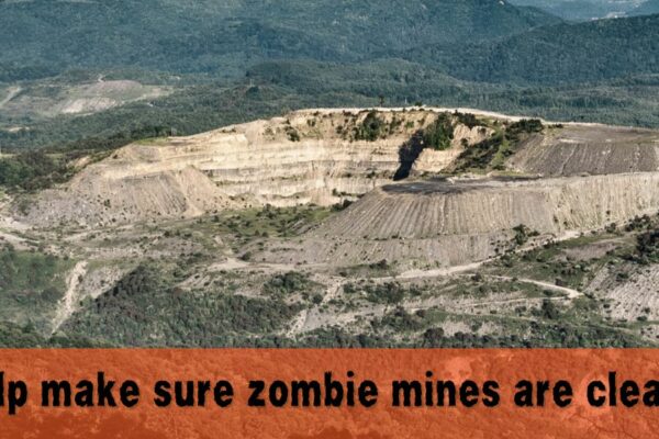 Help make sure zombie mines are cleaned up!