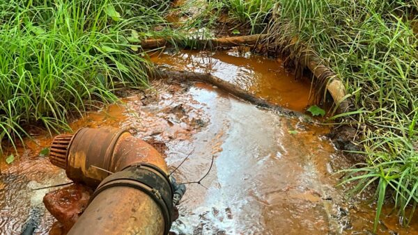 Trouble Above the South Fork of the Cherry River