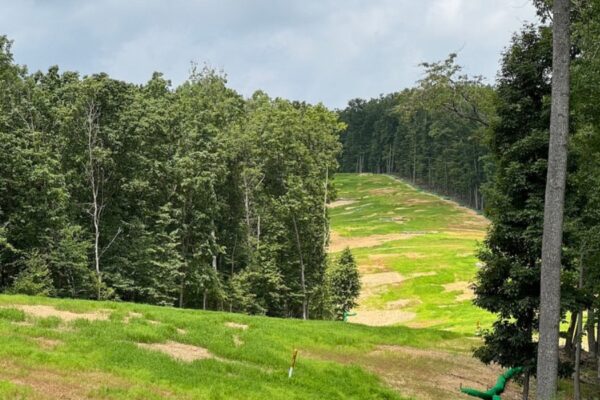 Restoration along the Mountain Valley Pipeline