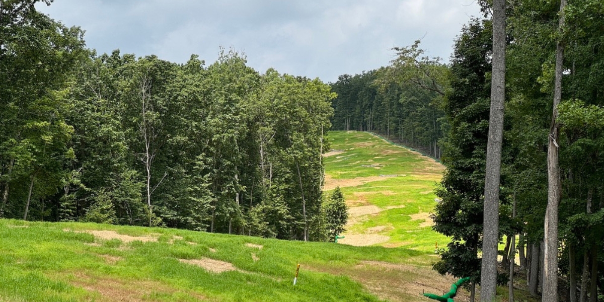 Restoration along the Mountain Valley Pipeline