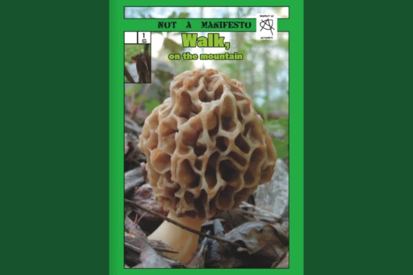 Not a Manifesto Walk on the Mountain Junior Walk book cover with a morel mushroom