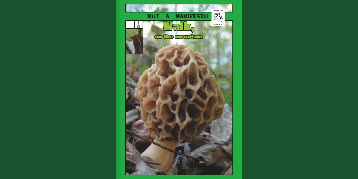 Not a Manifesto Walk on the Mountain Junior Walk book cover with a morel mushroom