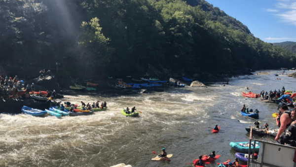 Top mine regulator can and must halt illegal coal hauling in the Monongahela National Forest